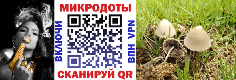 Псилоцибиновые грибы мицелий  Кировград 